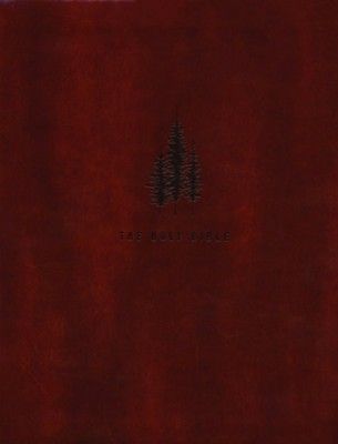 CSB Notetaking Bible Anchorage Theme