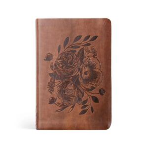 NLT Compact Bible Aurora