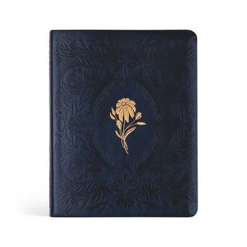 NLT Journaling Bible: Versailles Theme