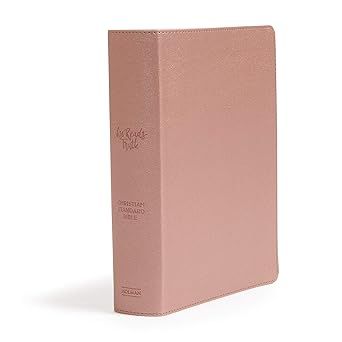 CSB She Reads Truth Bible, Rose gold