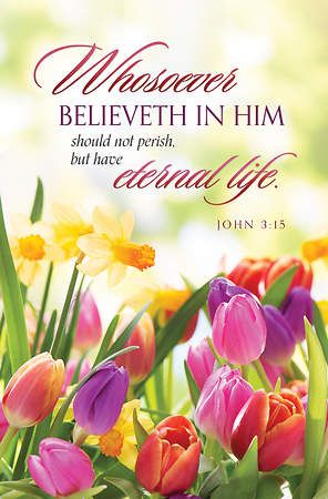 Whosoever Believeth in Him Regular Size Bulletin 100