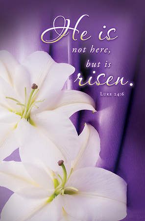 He is Not Here Easter Regular Size Bulletin Pk of 100