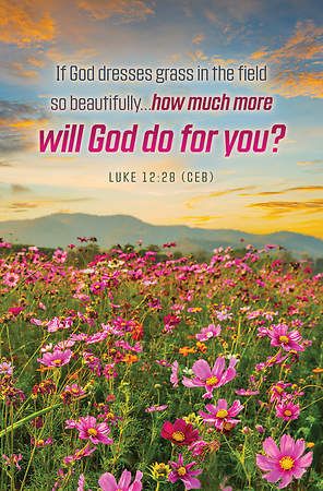 If God Dresses Grass in the Field Summer Regular Size Bulletin Pack of 100