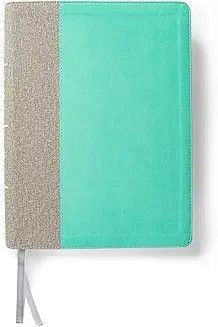CSB Lifeway Women&#39;s Bible Mint/Gray