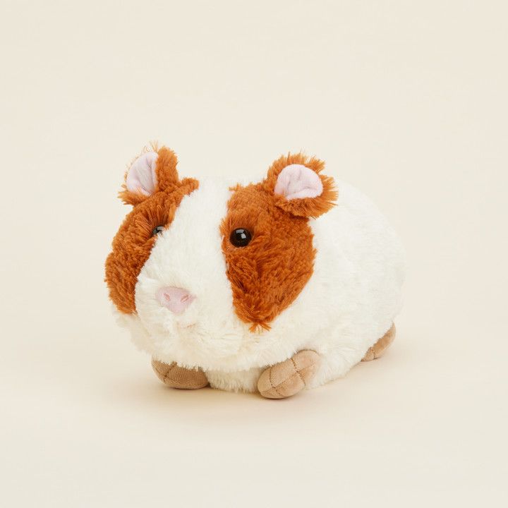 Warmie Guinea Pig