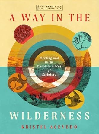 A Way in the Wilderness: Meeting God in the Desolate Places of Scripture
