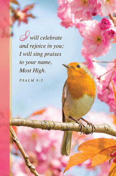 Bulletin-I Will Celebrate And Rejoice (Pack of 100)