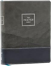 NIV Prayer Bible Black/Grey Leather Soft