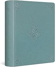ESV Journaling Study Bible Paris Sky
