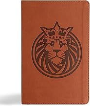 CSB Kids Bible Anglicised Edition