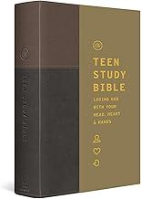 ESV Teen Study Bible Slate Umber
