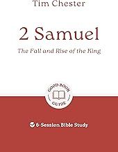 2 Samuel: The Fall and Rise of the King
