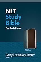 NLT Study Bible - Twilight Blue &amp; Brown