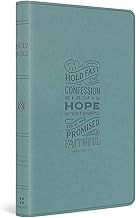ESV Large Print Value Thinline Bible - Paris Sky Trutone, Heb. 10:23 Design