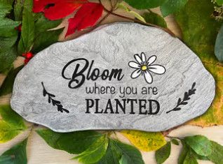 Bloom Where You Are plante  Concrete Garden Decoration