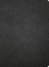NASB Study Bible, 2020 Edition Black Genuine Leather