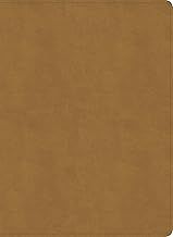 NASB Study Bible, 2020 Edition Camel Suedesoft Leathertouch