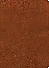 NASB Study Bible, 2020 Edition Burnt Sienna Leathertouch