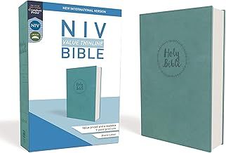 NIV Value Thinline Bible (Comfort Print) - Turquoise Leathersoft