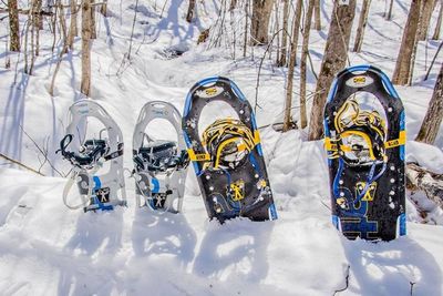 Snowshoe