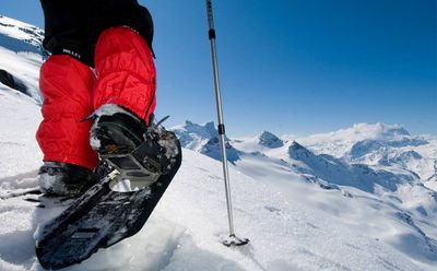 Snowshoe