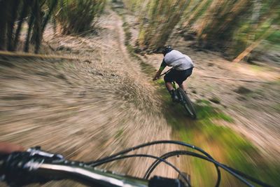 Mountain Bikes