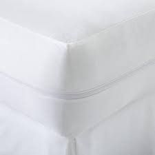 Bed Bug Encasement * G