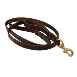 Braided Leash - 6 ft