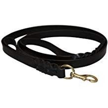 Braided Leash - 6 ft
