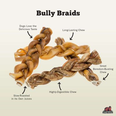 Redbarn Braided Bully Stick - 5 in