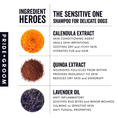 Pride &amp; Groom Sensitive Dog Shampoo