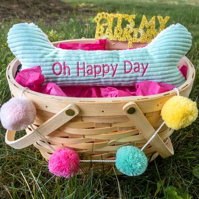Hugglehounds Dog Birthday Happy Day Bone 12&quot;