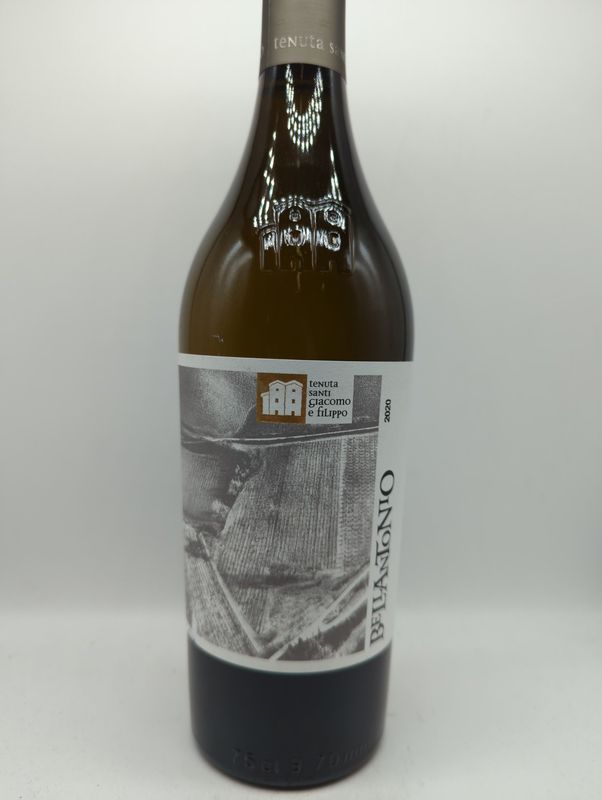 2020 BELLANTONIO MARCHE BIANCO 750ml