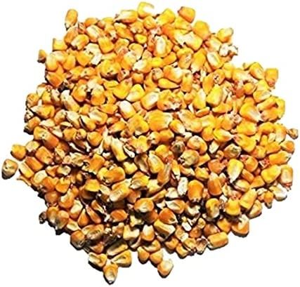 DEER CORN