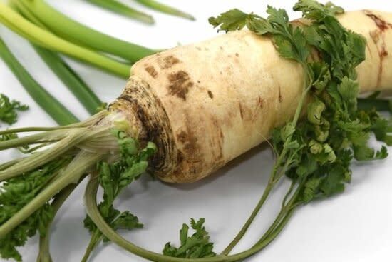Daikon Radish