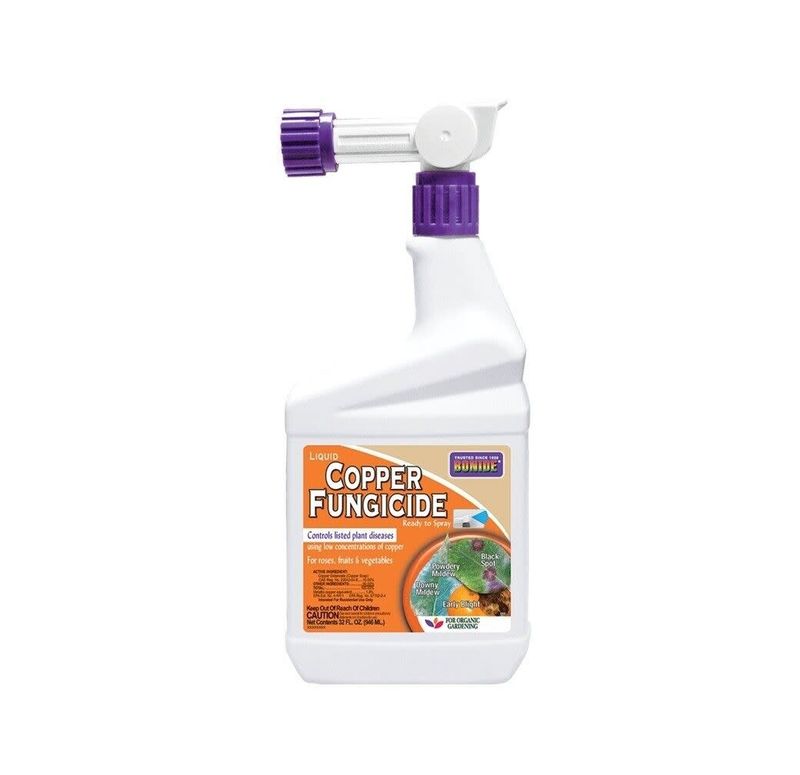 Copper fungicide 32 oz