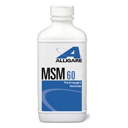 MSM 60 1 Lbs.