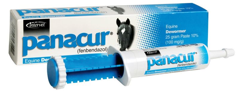 Panacur Equine Paste 10% Fenbendazol Horse Wormer 25 grams 1000 lbs/tube