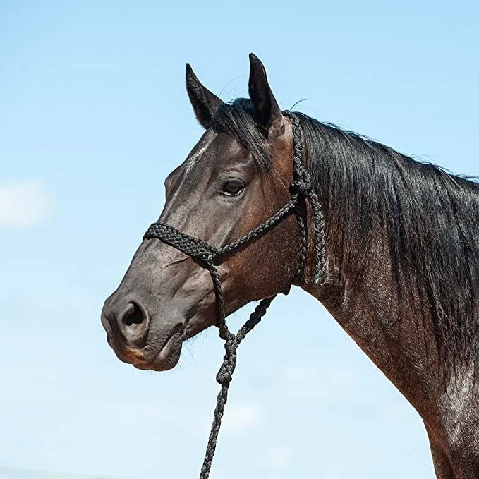 Mule tape halters