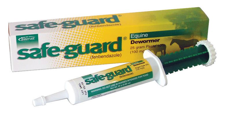 Safe-Guard Horse Dewormer 25gm