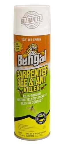 Bengal Carpenter Bee &amp; Ant 16 oz