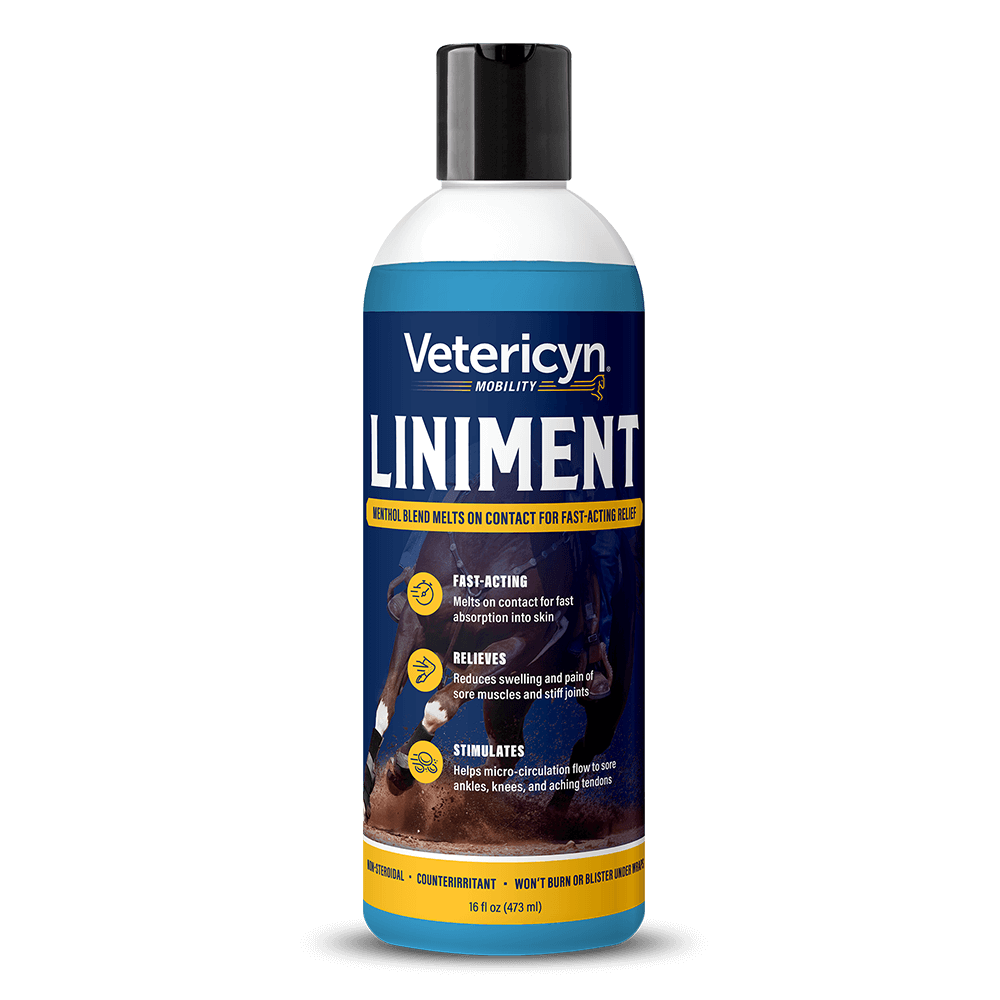 VETERICYN MOBILITY LINIMENT 16OZ