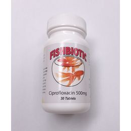 CIPROFLOXACIN CAPSULE 500MG 30CT