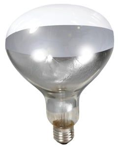 250 WATT CLEAR BULB