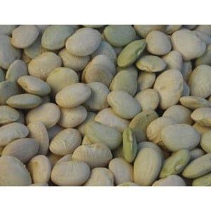 THOROGREEN LIMA BUSH 1/2#