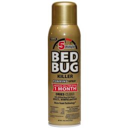 HARRIS BED BUG GOLD 5 MINUTE 16OZ