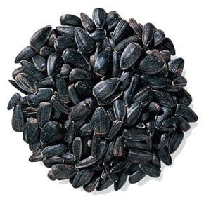 Black Oil Sunflower 50lb