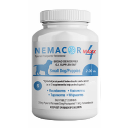 NEMACOR MAX 4 SMALL DOG 2-20 LB 12CT