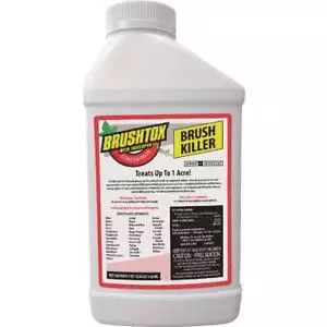 BRUSHTOX TRICLOPYR 61.6% 32OZ