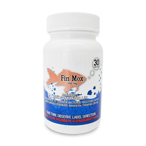Fin Mox Amoxicillin 250mg Capsule - 30 ct